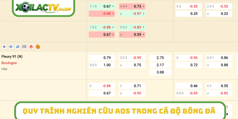 Quy trình nghiên cứu AOS trong cá độ bóng đá