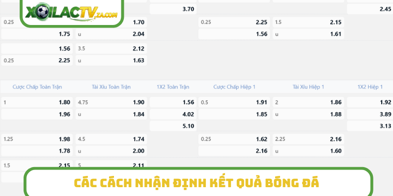 Các cách nhận định kết quả bóng đá