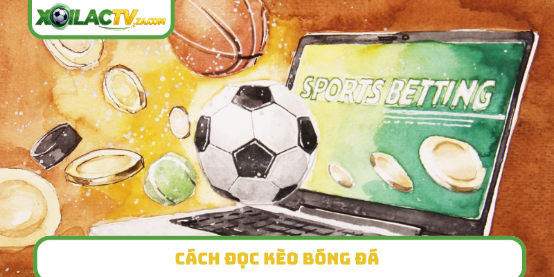 Cách đọc kèo bóng đá