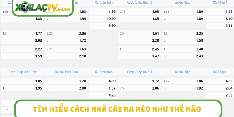 Tìm hiểu cách nhà cái ra kèo như thế nào