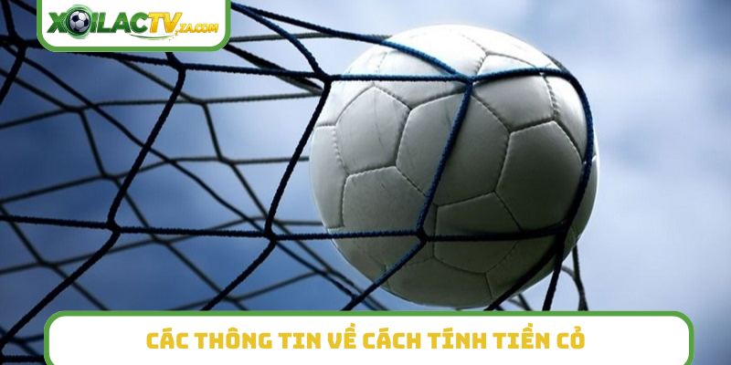 Các thông tin về cách tính tiền cỏ