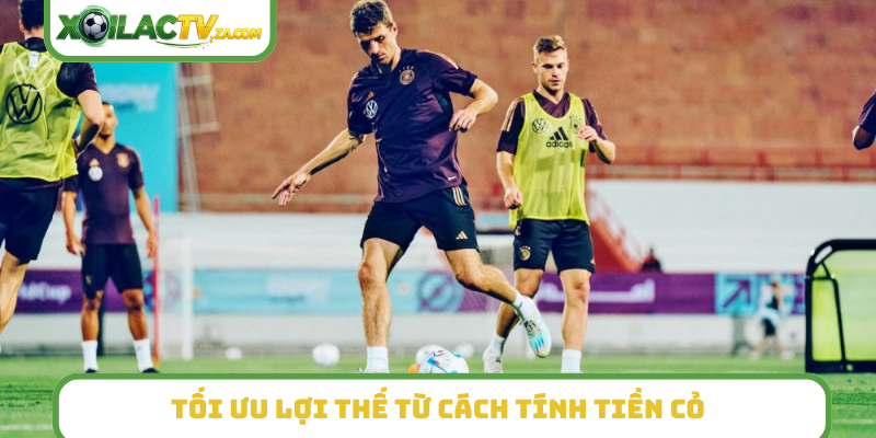 Tối ưu lợi thế từ cách tính tiền cỏ