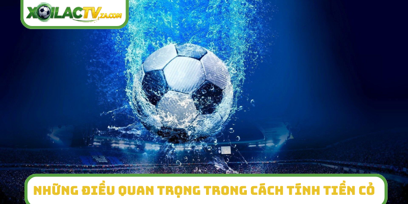 Những điều quan trọng trong cách tính tiền cỏ