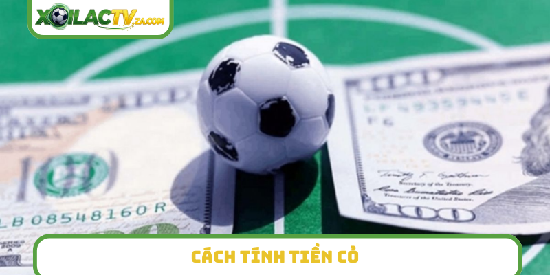 Cách tính tiền cỏ