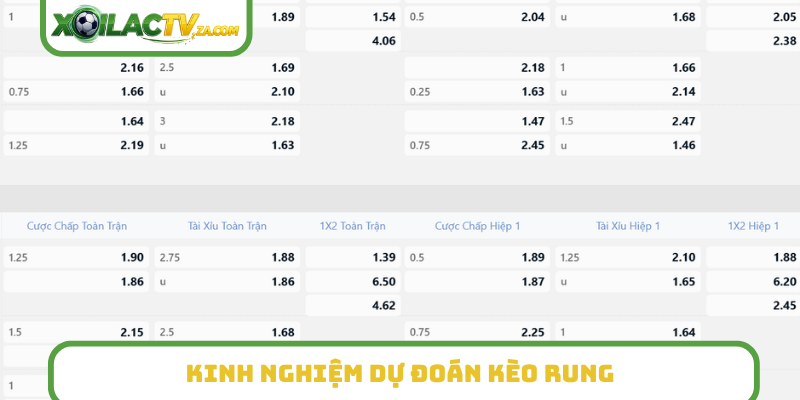 Kinh nghiệm dự đoán kèo rung
