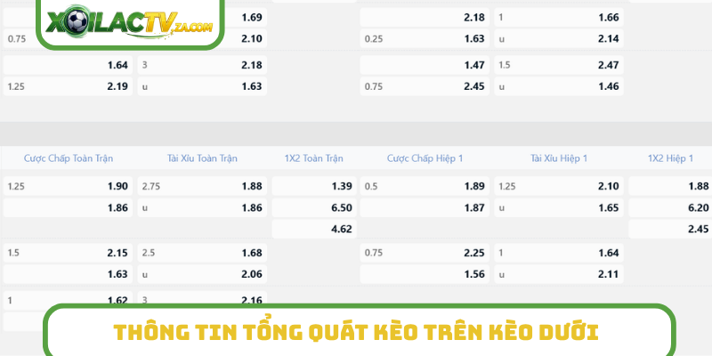 Thông tin tổng quát kèo trên kèo dưới