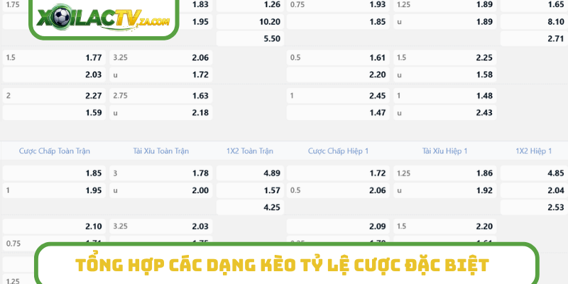 Tổng hợp các dạng kèo tỷ lệ cược đặc biệt