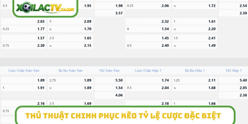 Thủ thuật chinh phục kèo tỷ lệ cược đặc biệt