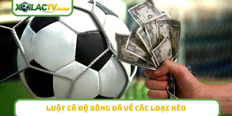 Luật cá độ bóng đá về các loại kèo