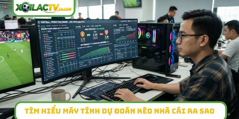 Tìm hiểu máy tính dự đoán kèo nhà cái ra sao